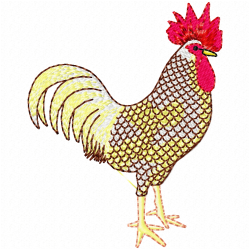 Chickens And Roosters Embroidery Design 2 Chickens And Roosters Embroidery Design 2